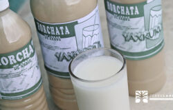 Sitios turÃ­sticos en Tixkuncheil y sus alrededores.