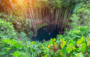 Terraland - Tus raices en yucatán